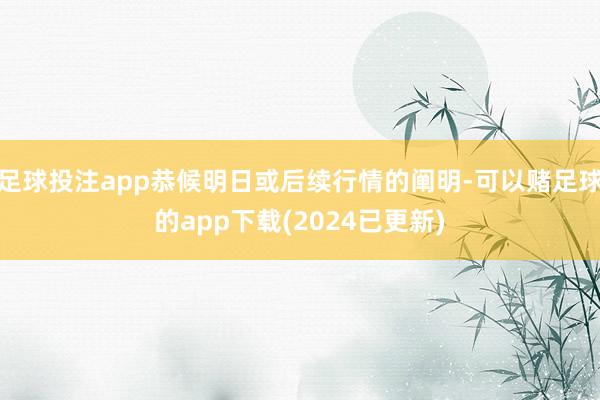 足球投注app恭候明日或后续行情的阐明-可以赌足球的app下载(2024已更新)