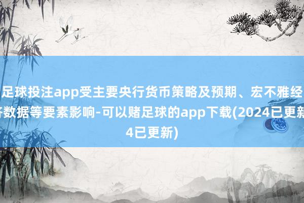 足球投注app受主要央行货币策略及预期、宏不雅经济数据等要素影响-可以赌足球的app下载(2024已更新)