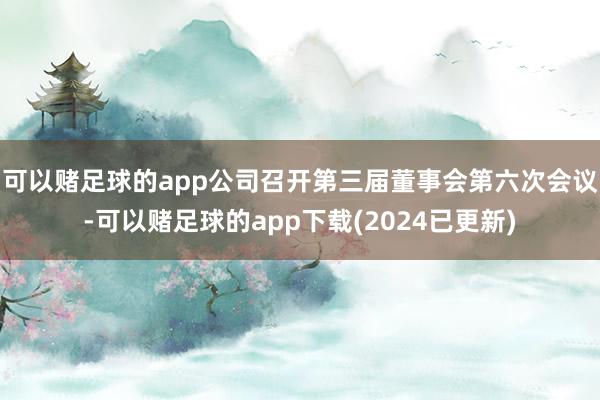 可以赌足球的app公司召开第三届董事会第六次会议-可以赌足球的app下载(2024已更新)
