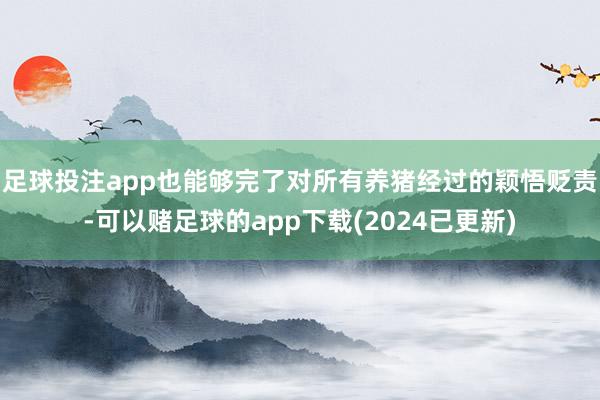 足球投注app也能够完了对所有养猪经过的颖悟贬责-可以赌足球的app下载(2024已更新)
