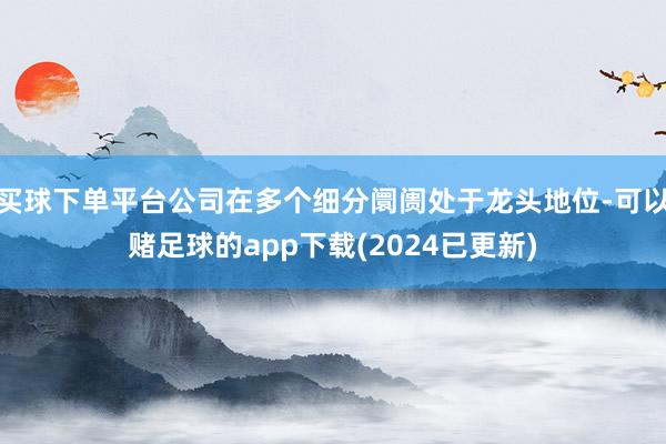 买球下单平台公司在多个细分阛阓处于龙头地位-可以赌足球的app下载(2024已更新)