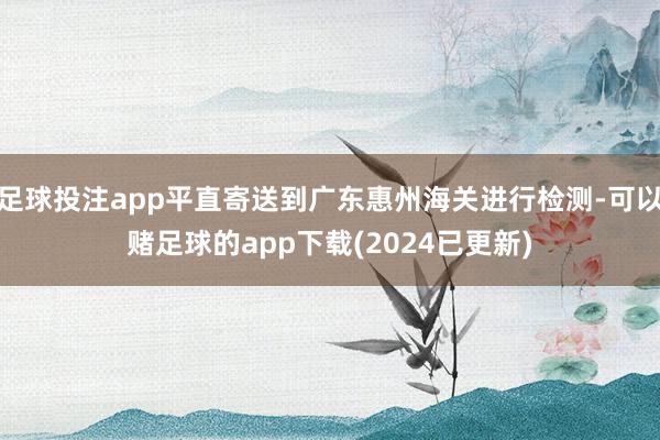 足球投注app平直寄送到广东惠州海关进行检测-可以赌足球的app下载(2024已更新)