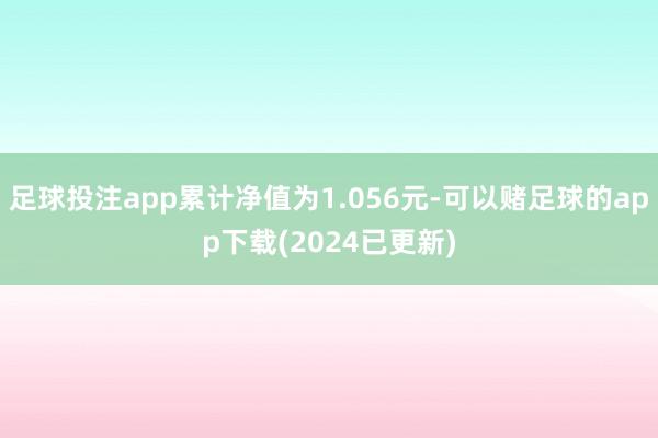 足球投注app累计净值为1.056元-可以赌足球的app下载(2024已更新)
