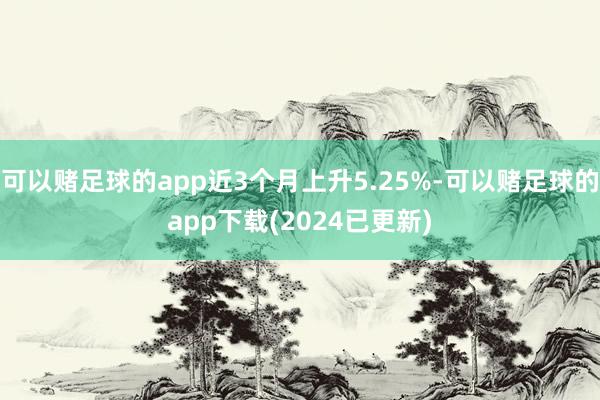 可以赌足球的app近3个月上升5.25%-可以赌足球的app下载(2024已更新)