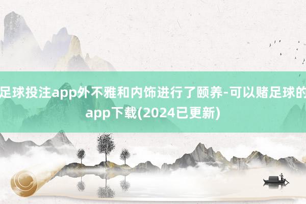 足球投注app外不雅和内饰进行了颐养-可以赌足球的app下载(2024已更新)