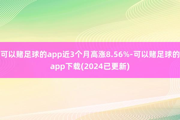 可以赌足球的app近3个月高涨8.56%-可以赌足球的app下载(2024已更新)
