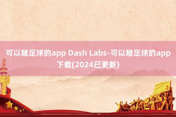 可以赌足球的app Dash Labs-可以赌足球的app下载(2024已更新)
