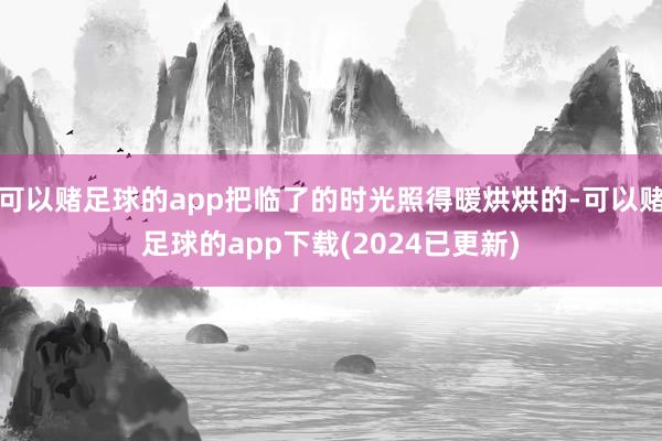 可以赌足球的app把临了的时光照得暖烘烘的-可以赌足球的app下载(2024已更新)