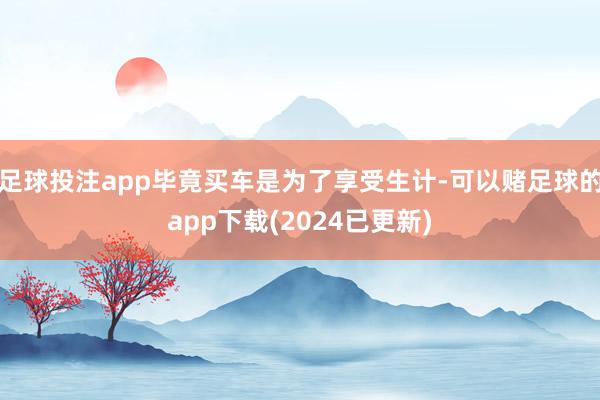 足球投注app毕竟买车是为了享受生计-可以赌足球的app下载(2024已更新)