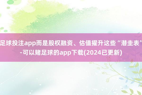 足球投注app而是股权融资、估值擢升这些“潜圭表”-可以赌足球的app下载(2024已更新)