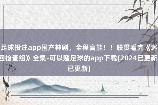 足球投注app国产神剧，全程高能！！联贯看完《巡回检查组》全集-可以赌足球的app下载(2024已更新)