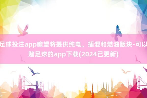 足球投注app瞻望将提供纯电、插混和燃油版块-可以赌足球的app下载(2024已更新)