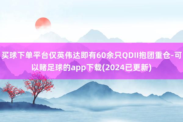 买球下单平台仅英伟达即有60余只QDII抱团重仓-可以赌足球的app下载(2024已更新)