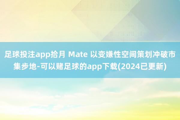 足球投注app拾月 Mate 以变嫌性空间策划冲破市集步地-可以赌足球的app下载(2024已更新)