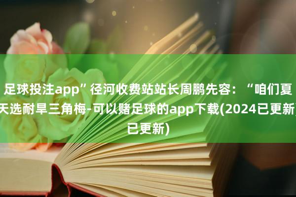 足球投注app”径河收费站站长周鹏先容：“咱们夏天选耐旱三角梅-可以赌足球的app下载(2024已更新)