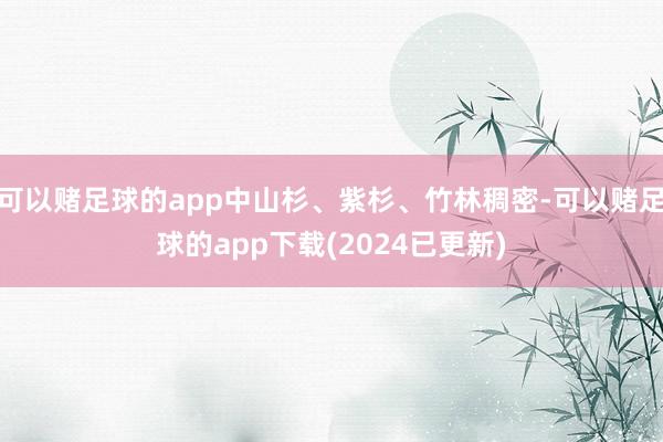 可以赌足球的app中山杉、紫杉、竹林稠密-可以赌足球的app下载(2024已更新)