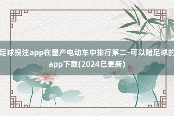 足球投注app在量产电动车中排行第二-可以赌足球的app下载(2024已更新)