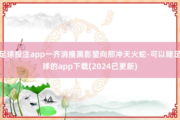 足球投注app一齐消瘦黑影望向那冲天火蛇-可以赌足球的app下载(2024已更新)