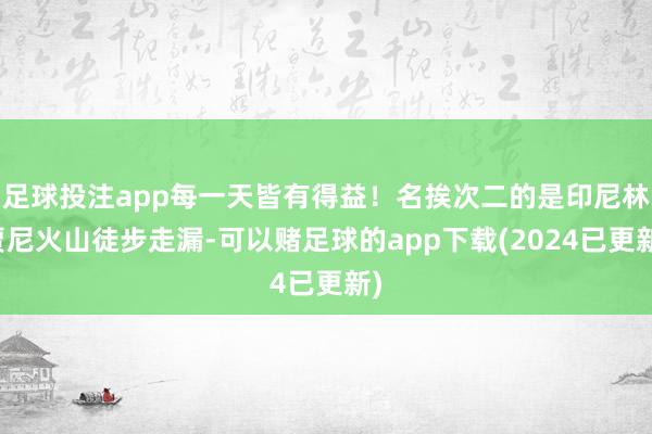 足球投注app每一天皆有得益！名挨次二的是印尼林贾尼火山徒步走漏-可以赌足球的app下载(2024已更新)