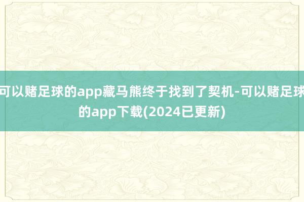 可以赌足球的app藏马熊终于找到了契机-可以赌足球的app下载(2024已更新)