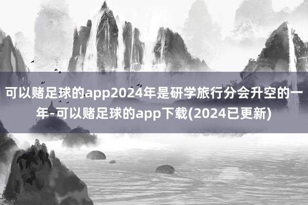 可以赌足球的app2024年是研学旅行分会升空的一年-可以赌足球的app下载(2024已更新)