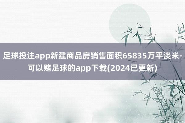 足球投注app新建商品房销售面积65835万平淡米-可以赌足球的app下载(2024已更新)