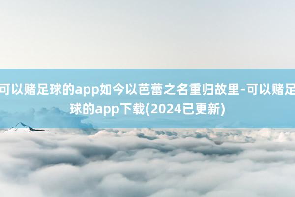 可以赌足球的app如今以芭蕾之名重归故里-可以赌足球的app下载(2024已更新)