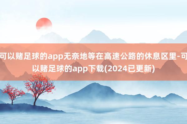 可以赌足球的app无奈地等在高速公路的休息区里-可以赌足球的app下载(2024已更新)