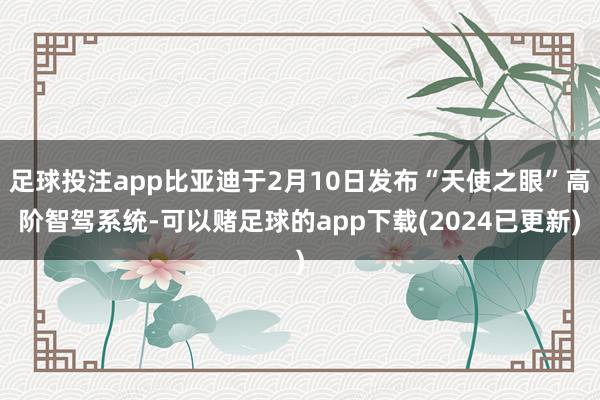 足球投注app比亚迪于2月10日发布“天使之眼”高阶智驾系统-可以赌足球的app下载(2024已更新)
