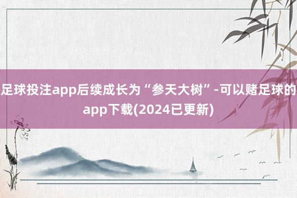 足球投注app后续成长为“参天大树”-可以赌足球的app下载(2024已更新)