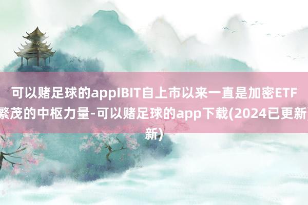 可以赌足球的appIBIT自上市以来一直是加密ETF繁茂的中枢力量-可以赌足球的app下载(2024已更新)