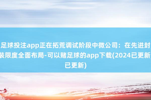 足球投注app正在拓荒调试阶段中微公司：在先进封装限度全面布局-可以赌足球的app下载(2024已更新)
