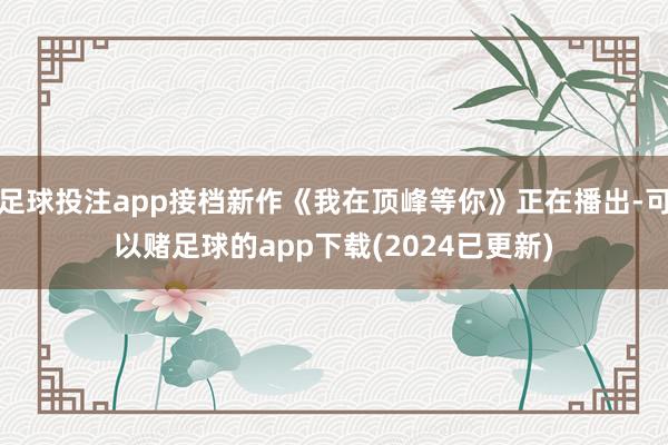 足球投注app接档新作《我在顶峰等你》正在播出-可以赌足球的app下载(2024已更新)