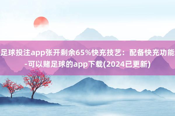 足球投注app张开剩余65%快充技艺：配备快充功能-可以赌足球的app下载(2024已更新)