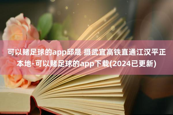 可以赌足球的app　邱晟 摄　　武宜高铁直通江汉平正本地-可以赌足球的app下载(2024已更新)